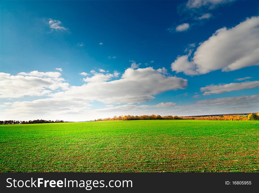 Wonderful autumnal field of wheat and sky with clouds. Wonderful autumnal field of wheat and sky with clouds.