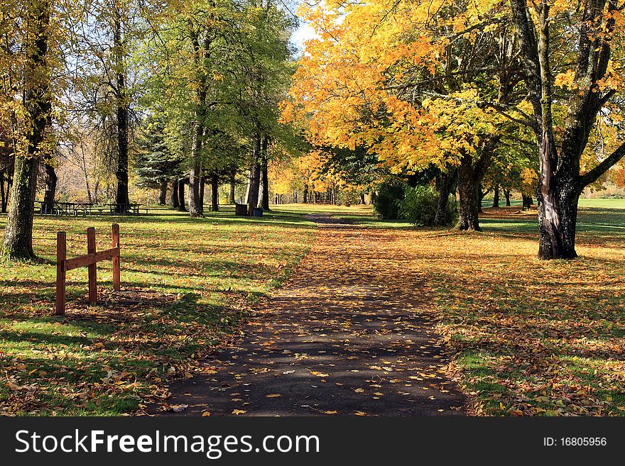 A walk in the park in the fall season. A walk in the park in the fall season.