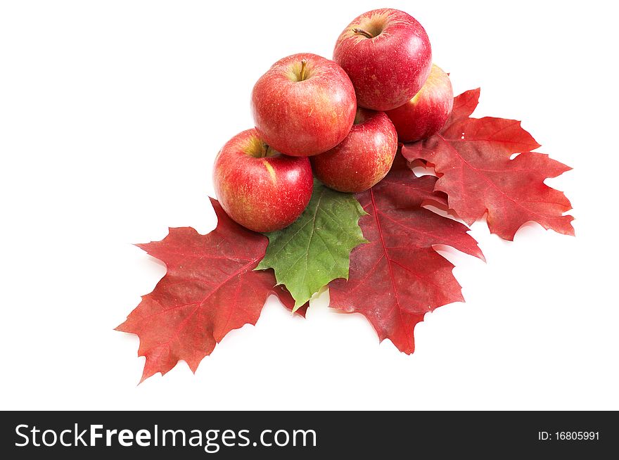 Tasty,ripe, juicy apples and autumn leaves isolated on a white background. Tasty,ripe, juicy apples and autumn leaves isolated on a white background.