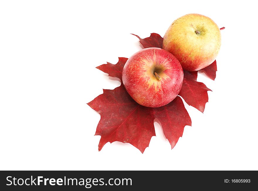 Autumnal Fruits On A White.