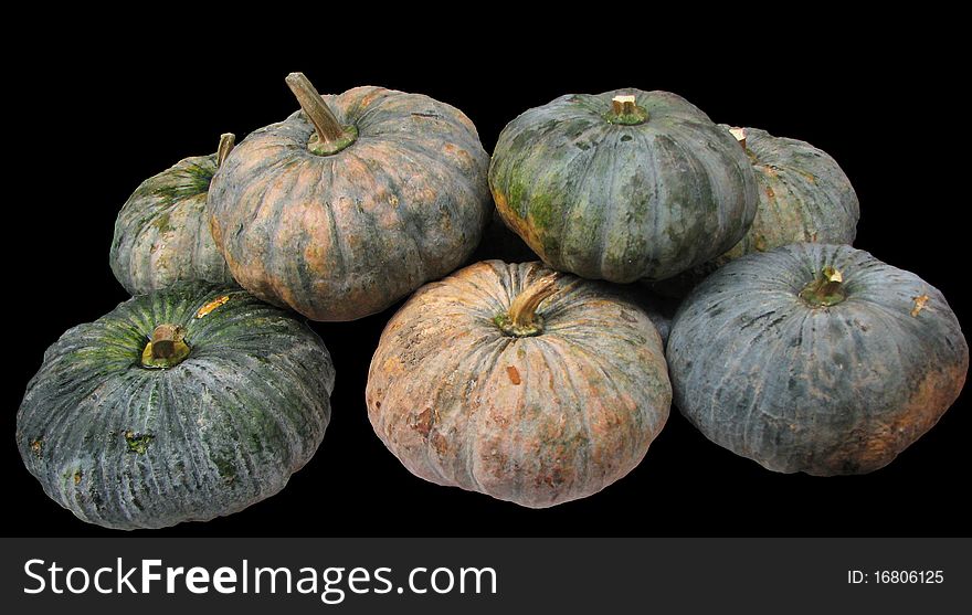 Group of pumpkin