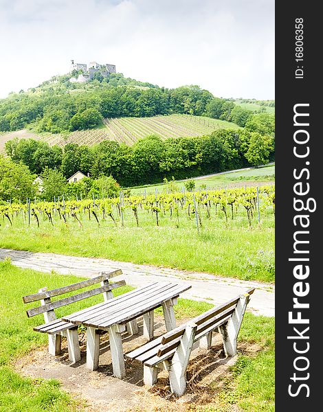 Ruins of Falkenstein Castle with vineyard, Lower Austria, Austria