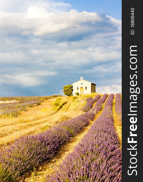 Chapel with lavender field, Plateau de Valensole, Provence, France