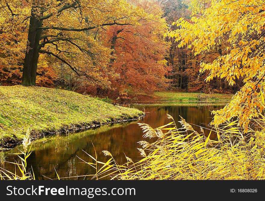 Autumn wood on the bank of a reservoir