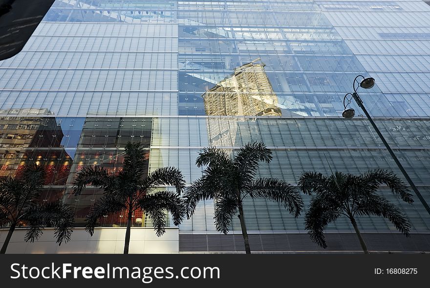 Palm trees and blue building reflection background. Palm trees and blue building reflection background