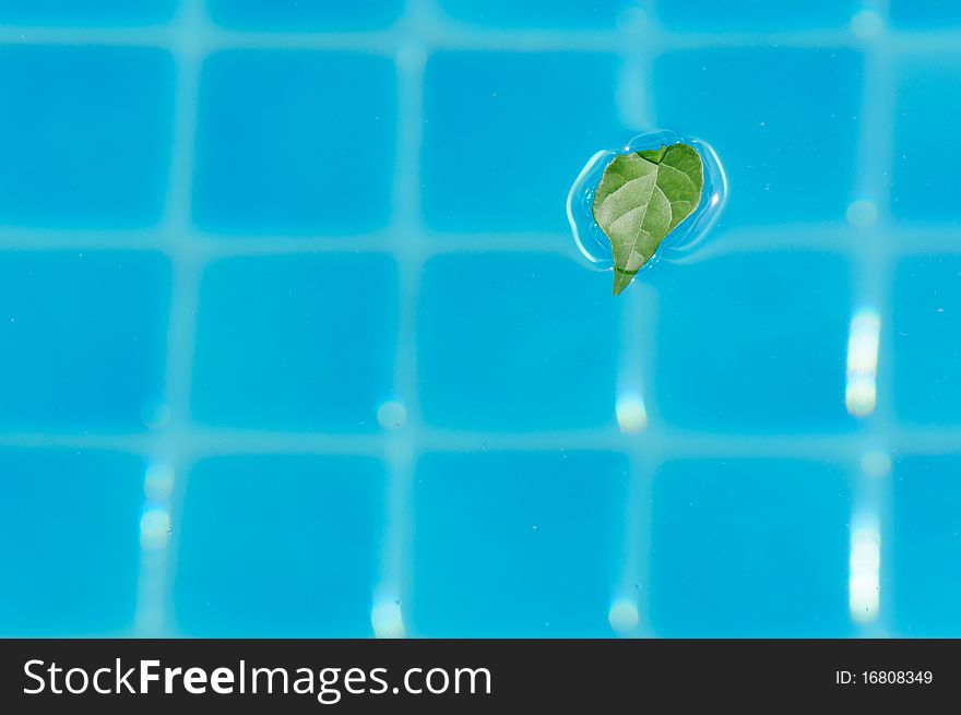 Leaf in swimming pool look good