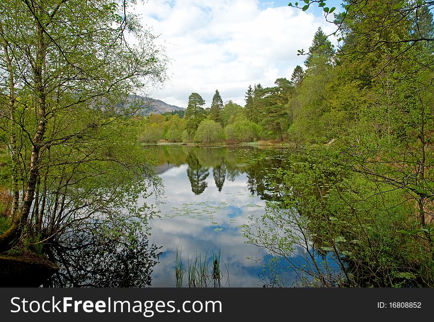 The landscape of inverawe country park and lily loch near taynuilt in scotland. The landscape of inverawe country park and lily loch near taynuilt in scotland