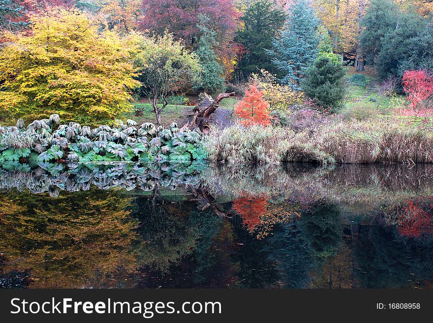 Refection of trees with autumn leaves in a still lake. Refection of trees with autumn leaves in a still lake