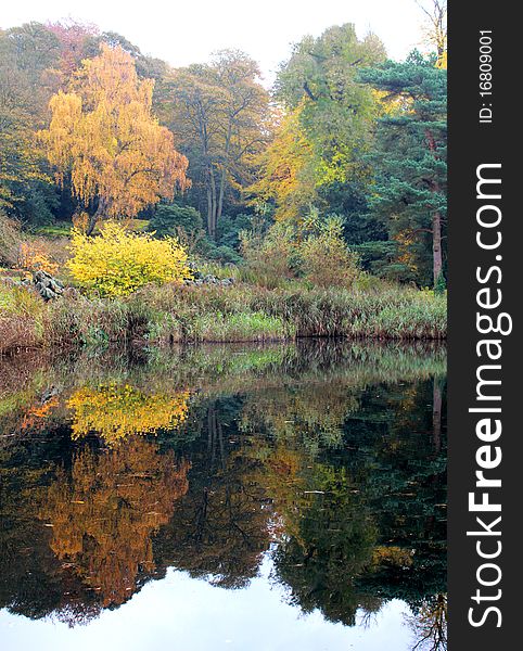 Reflection Of Autumn Leaves In A Lake