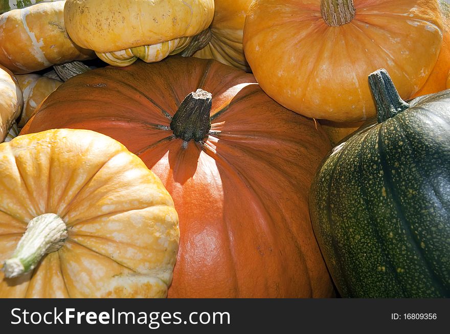 Pumpins in a pile for halloween. Pumpins in a pile for halloween