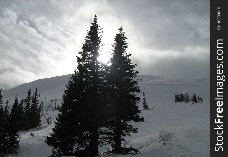 Nice hillview with white snow, trees and sun in Slovakia. Nice hillview with white snow, trees and sun in Slovakia