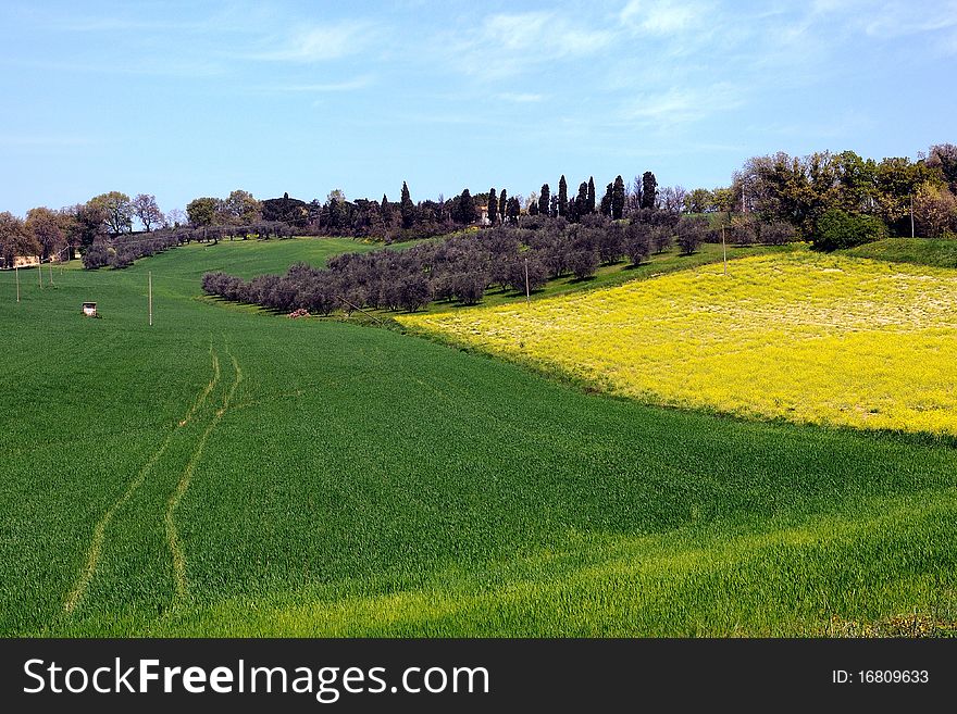 View over fields and countryside in spring. View over fields and countryside in spring