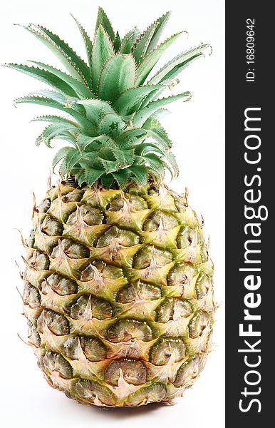 Large ripe pineapple with rich green rosette. Isolated on a white. Large ripe pineapple with rich green rosette. Isolated on a white.