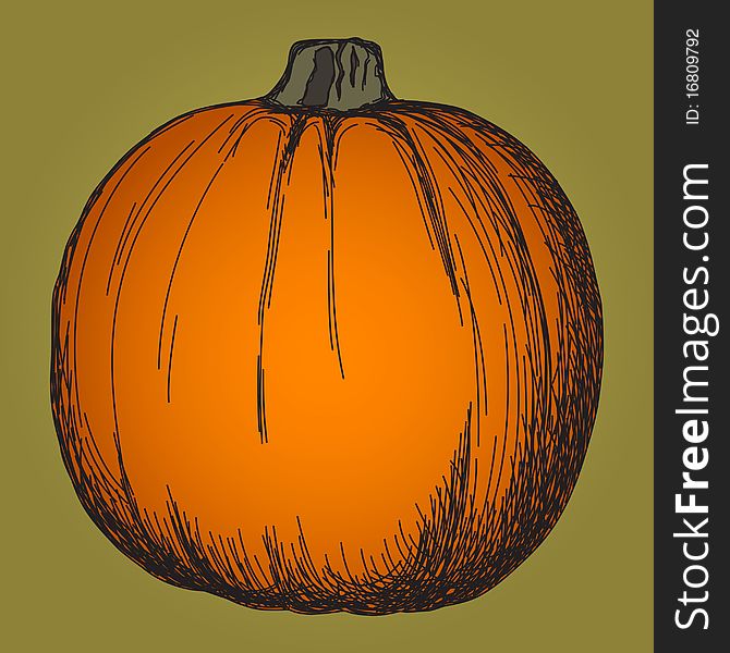 Cute illustration of pumpkin sketch. Cute illustration of pumpkin sketch