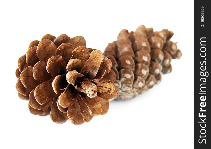 Two pine cones on a white background