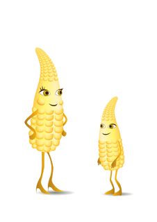 Family Of Corn Stock Photography