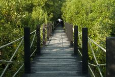 Wooden Bridge Stock Image