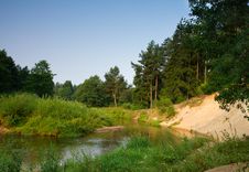 Small River In Forest Royalty Free Stock Images