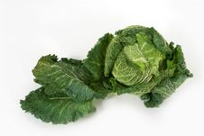 Savoy Cabbage Royalty Free Stock Images Savoy Cabbage Royalty Free Stock Images