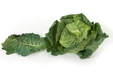 Savoy Cabbage Royalty Free Stock Photo Savoy Cabbage Royalty Free Stock Photo