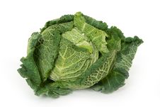 Savoy Cabbage Royalty Free Stock Photos Savoy Cabbage Royalty Free Stock Photos