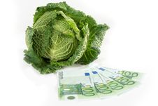 Savoy Cabbage And Euros Royalty Free Stock Photo Savoy Cabbage And Euros Royalty Free Stock Photo
