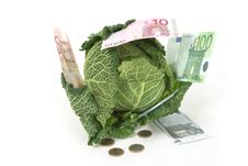 Savoy Cabbage And Money Royalty Free Stock Image Savoy Cabbage And Money Royalty Free Stock Image
