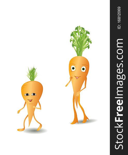 Parent carrot (mother) with an young carrot child. Parent carrot (mother) with an young carrot child