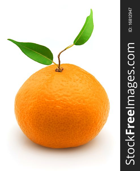 Ripe tangerine with leaves on a white background