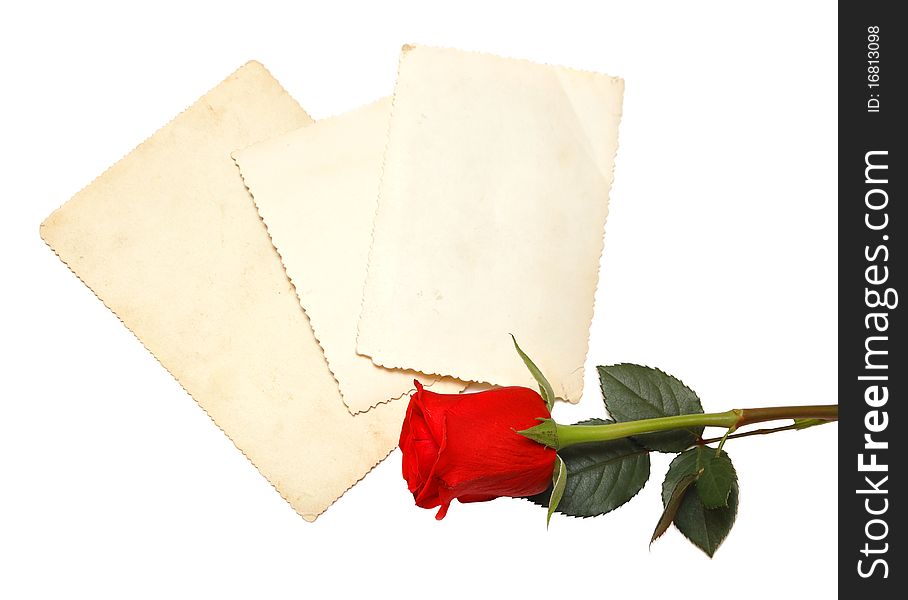 Old photo and red rose on white background