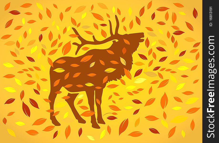 Red highland deer at autumnal