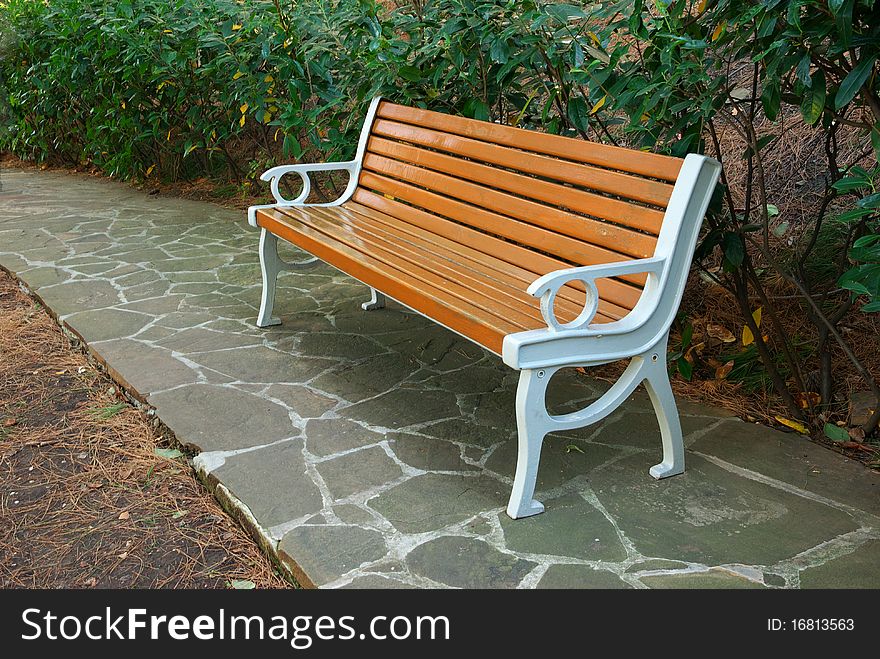 Bench in park. Nature composition.