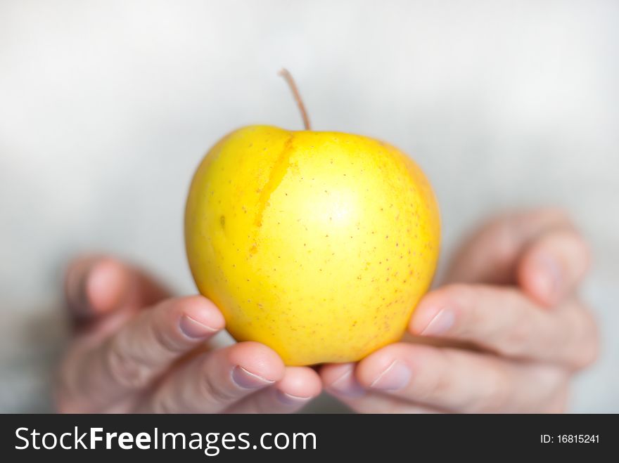 Fresh yellow apple in man's open palms