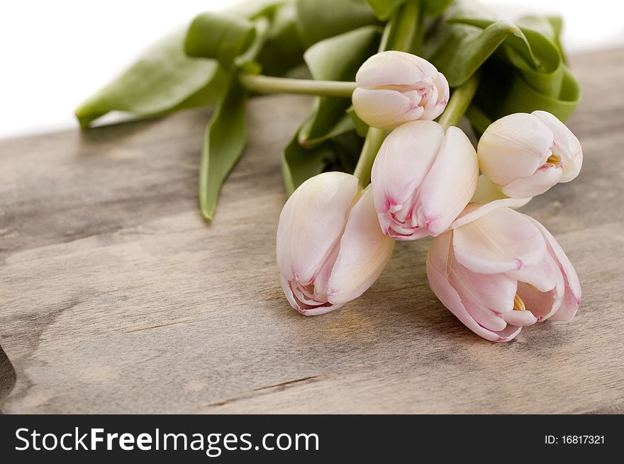 Pink flowers on wooden background. Pink flowers on wooden background