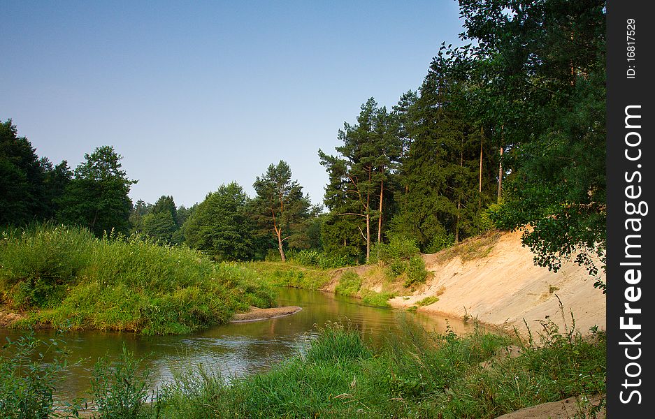 Small river in summer forest. Small river in summer forest