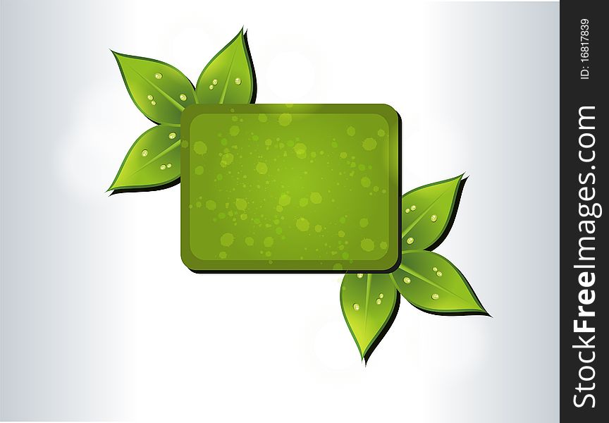 Green leaf frame for your design