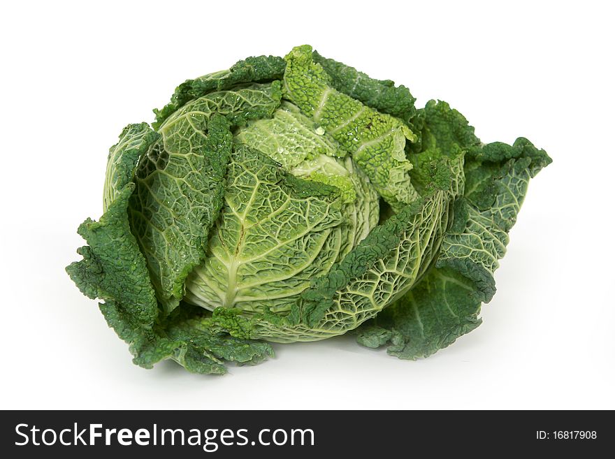 A head of savoy cabbage  on white background