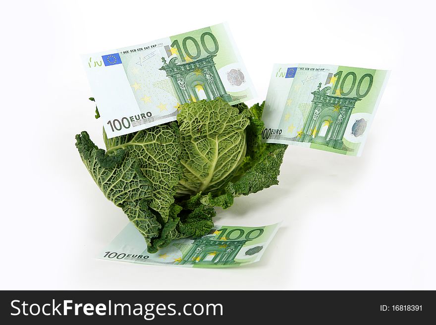 A head of savoy cabbage  with three one  three one hundred euro banknotes on white background. A head of savoy cabbage  with three one  three one hundred euro banknotes on white background