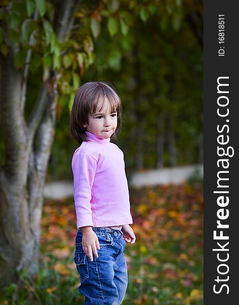 Portrait of a little girl in the autumn park. Portrait of a little girl in the autumn park