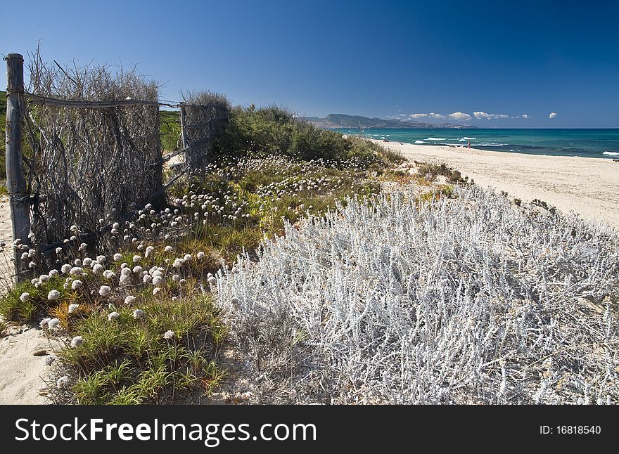 Landscape of a Sardinian beach, Italy. Landscape of a Sardinian beach, Italy.