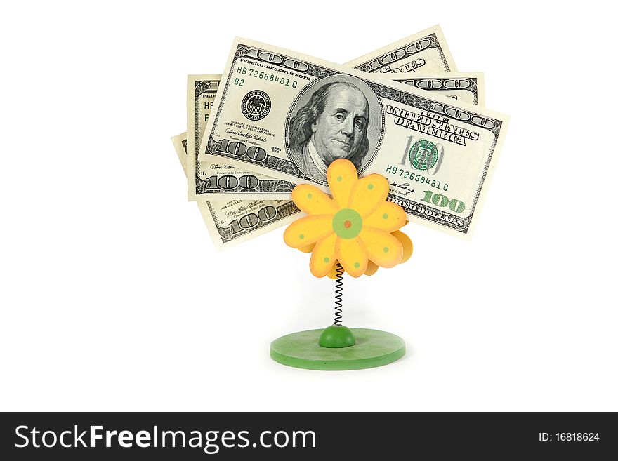 Three one hundred doller banknotes and yellow flower on white background. Three one hundred doller banknotes and yellow flower on white background