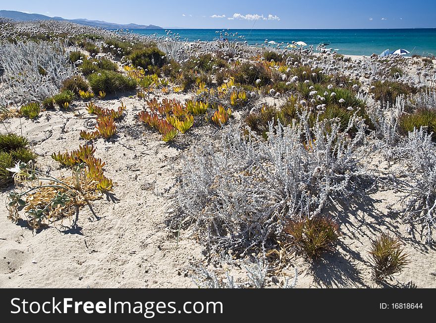 Landscape of a Sardinian beach, Italy. Landscape of a Sardinian beach, Italy