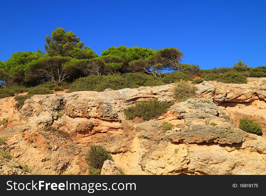 High cliffs in Algarve shore, with trees above. High cliffs in Algarve shore, with trees above
