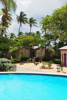 Luxury Resort Pool And Hotel Garden In Aruba. Stock Photography