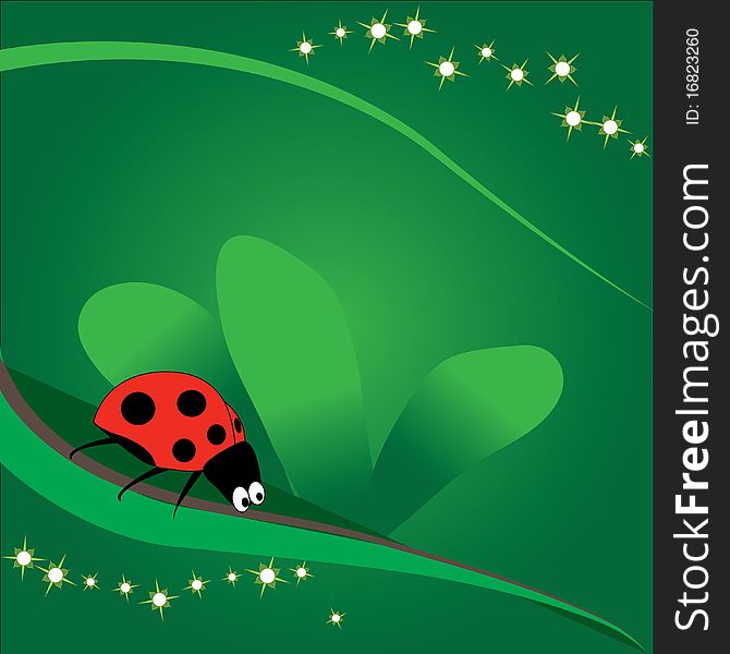 Cute lady bird above the green leaf with green background. Cute lady bird above the green leaf with green background