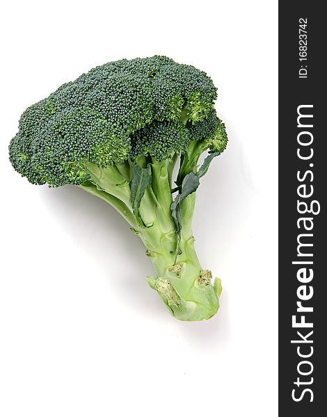 A green broccoli on the white