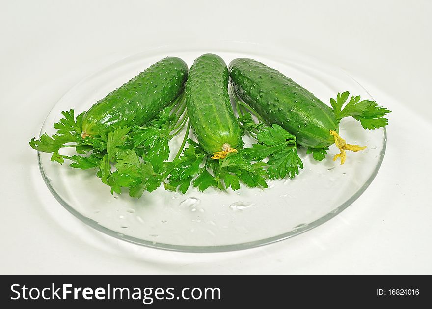 Cucumbers against parsley on a transparent plate. Cucumbers against parsley on a transparent plate