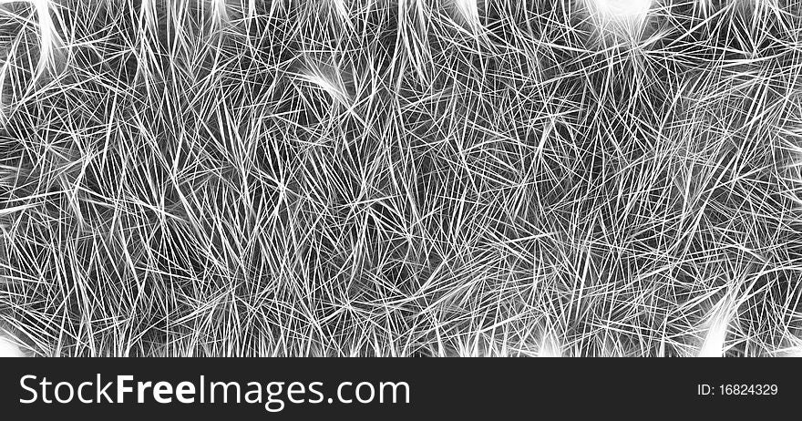 Hairs Spines Texture Background