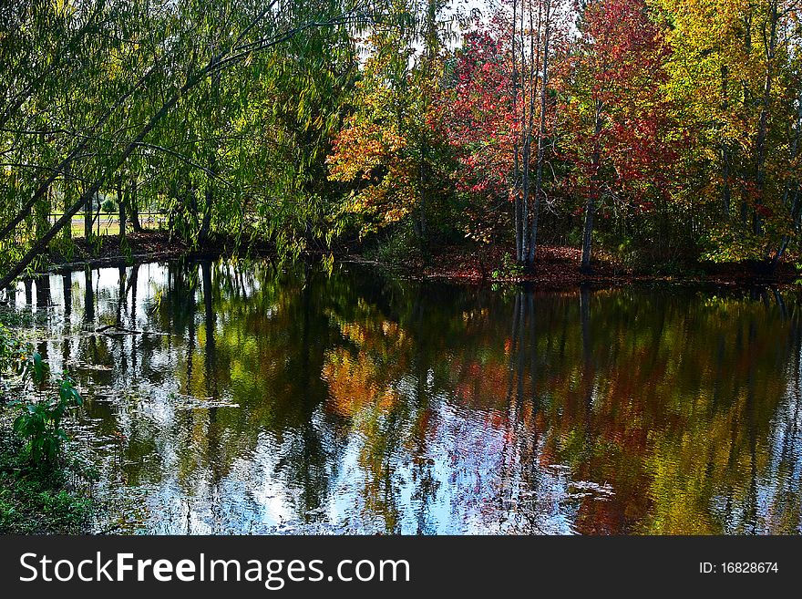 Peaceful fall scene of colorful trees and lake. Peaceful fall scene of colorful trees and lake.