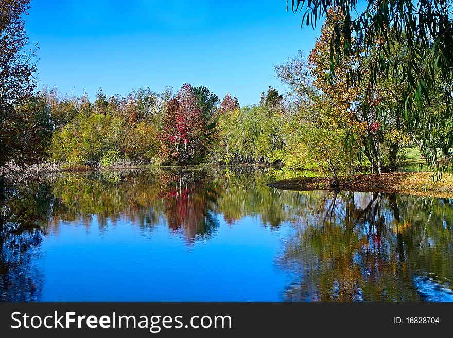 Peaceful fall scene of colorful trees and lake. Peaceful fall scene of colorful trees and lake.